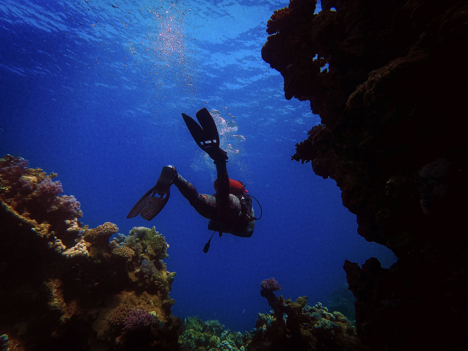 Ras Za'atar dive site