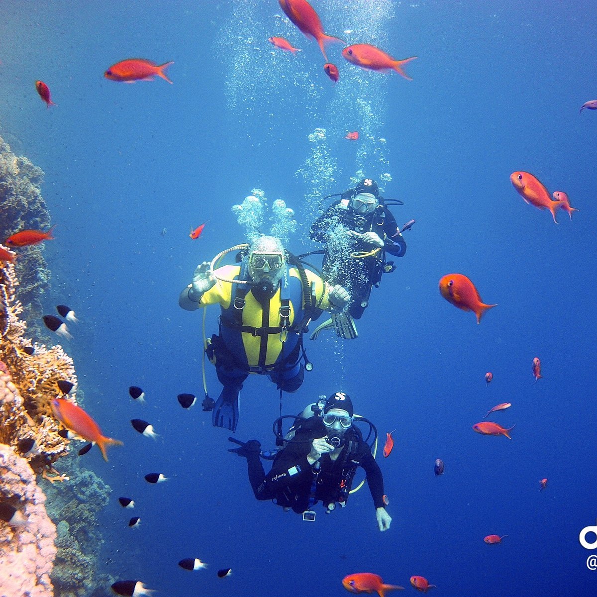 Eco-friendly diving