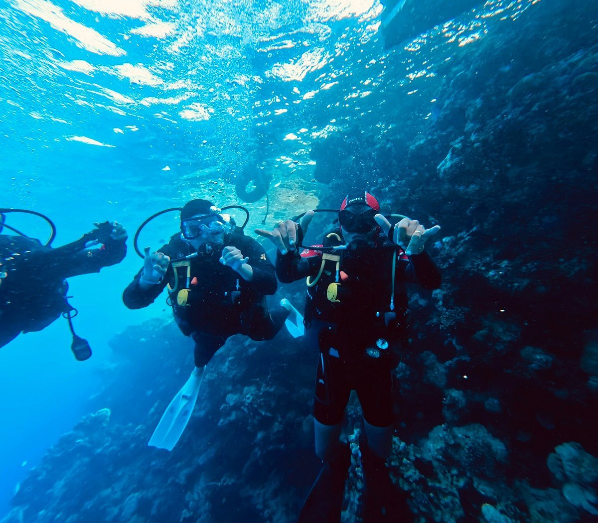 Diver in the Red Sea